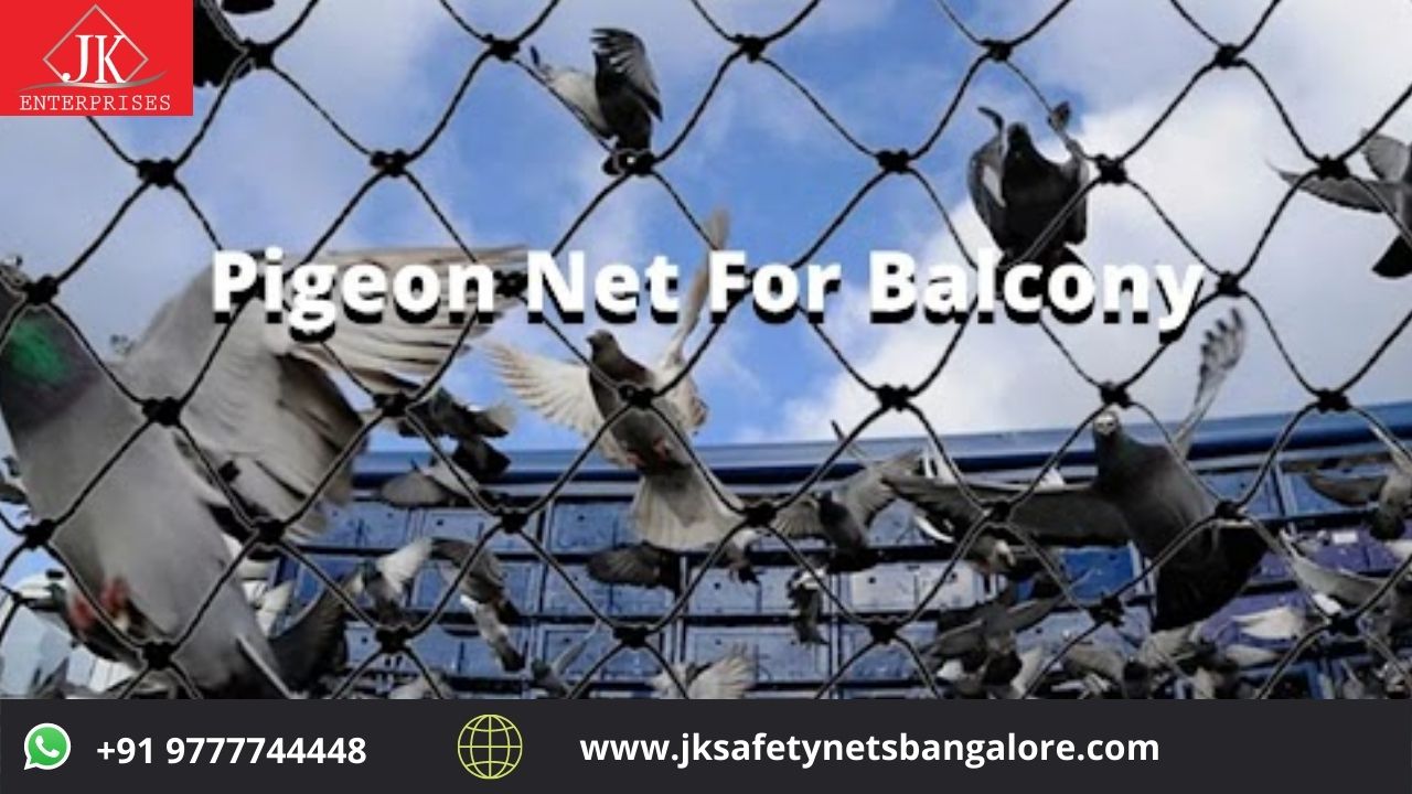 https://rkgdeal.com/uploads/16515697601453pigeonNetForbalcony.jpg